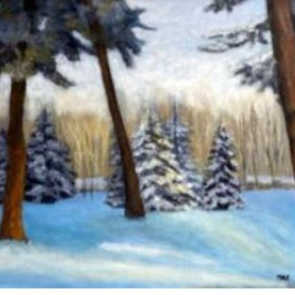 Snowy Pines
